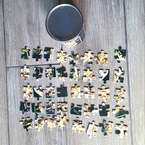 Forest Friends owl 40 Piece Puzzle Can 5"x7" Complete - Picture 6 of 6